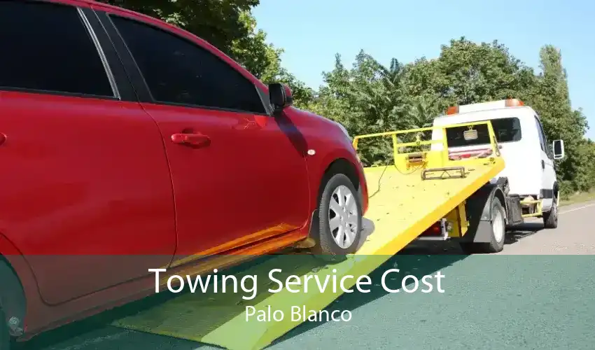 Towing Service Cost Palo Blanco