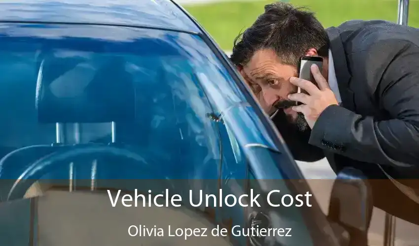 Vehicle Unlock Cost Olivia Lopez de Gutierrez