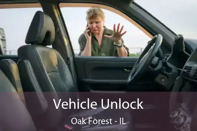 Vehicle Unlock Oak Forest - IL