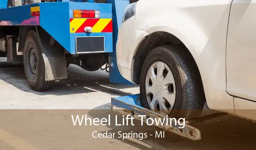 Wheel Lift Towing Cedar Springs - MI