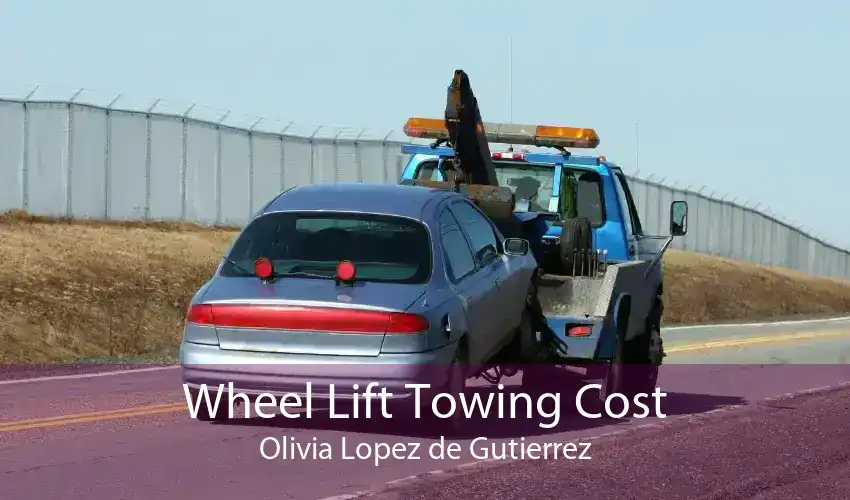 Wheel Lift Towing Cost Olivia Lopez de Gutierrez