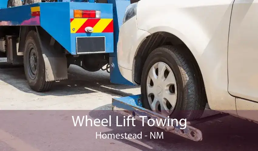 Wheel Lift Towing Homestead - NM