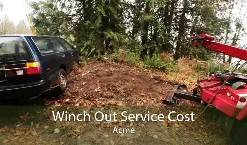 Winch Out Service Cost Acme