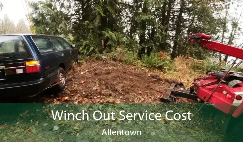 Winch Out Service Cost Allentown