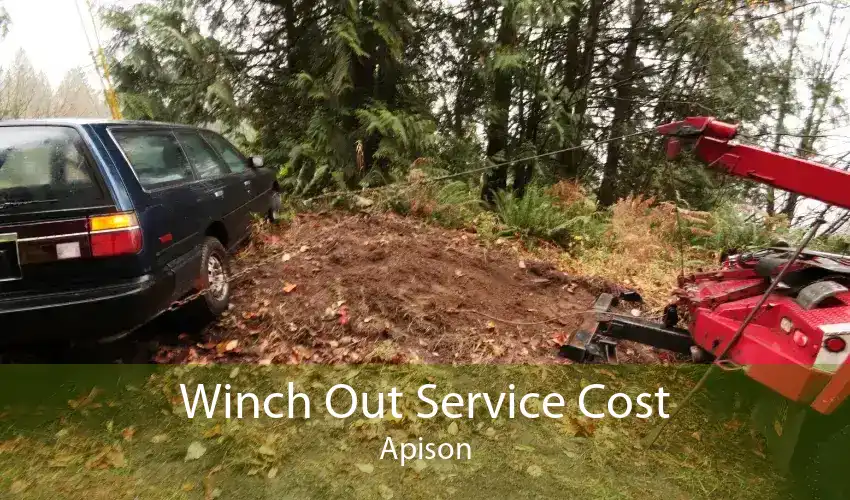 Winch Out Service Cost Apison