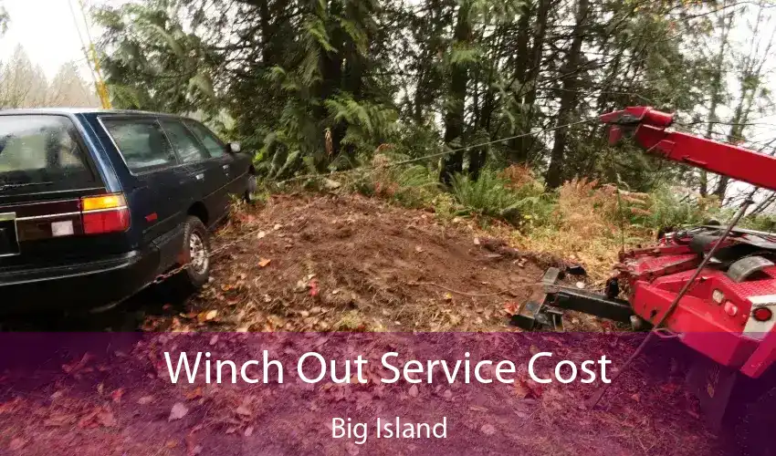 Winch Out Service Cost Big Island