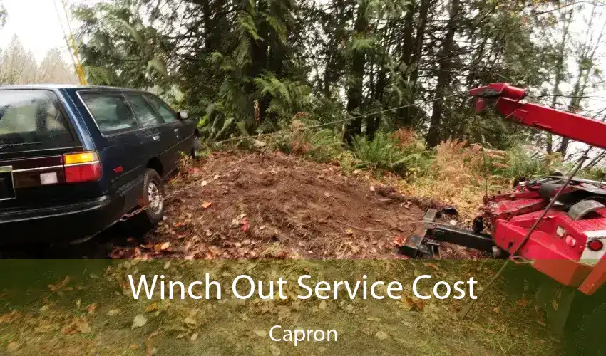 Winch Out Service Cost Capron