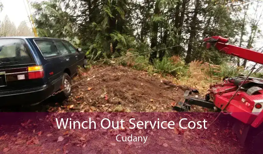 Winch Out Service Cost Cudany