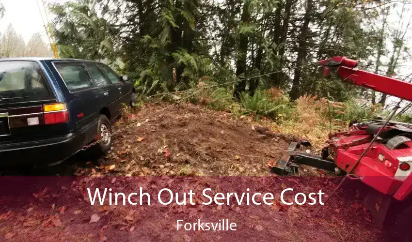 Winch Out Service Cost Forksville