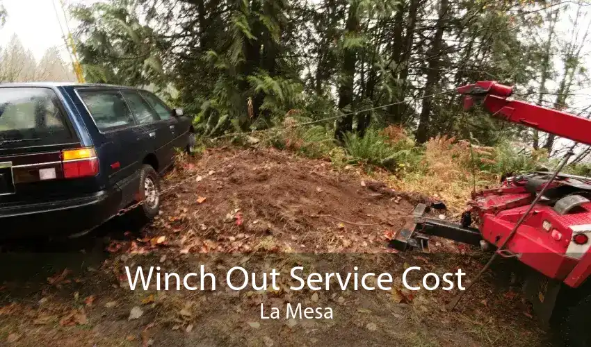 Winch Out Service Cost La Mesa