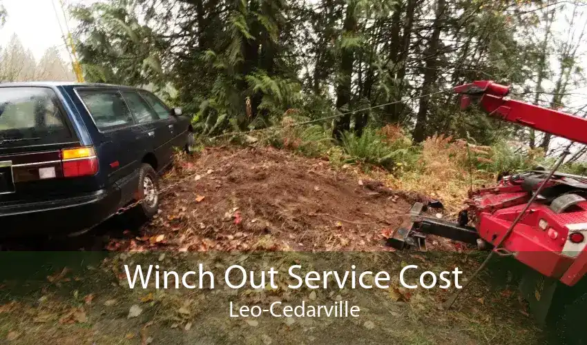 Winch Out Service Cost Leo-Cedarville