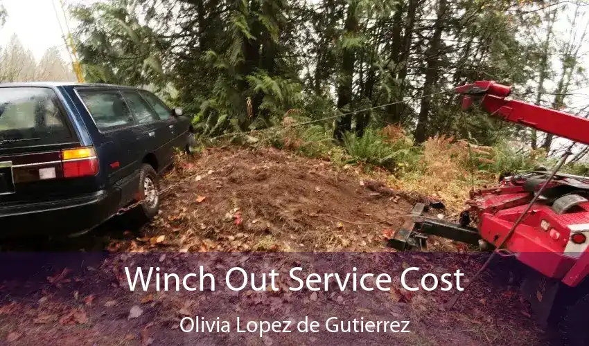 Winch Out Service Cost Olivia Lopez de Gutierrez