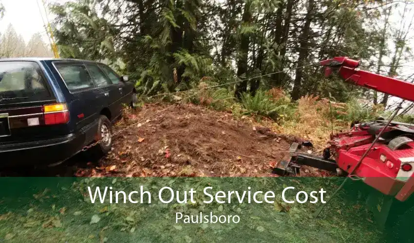 Winch Out Service Cost Paulsboro