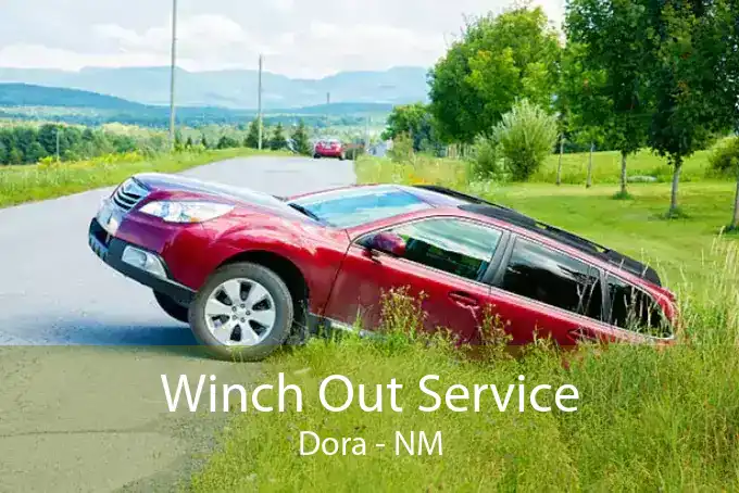 Winch Out Service Dora - NM