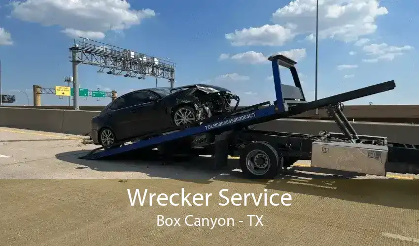 Wrecker Service Box Canyon - TX