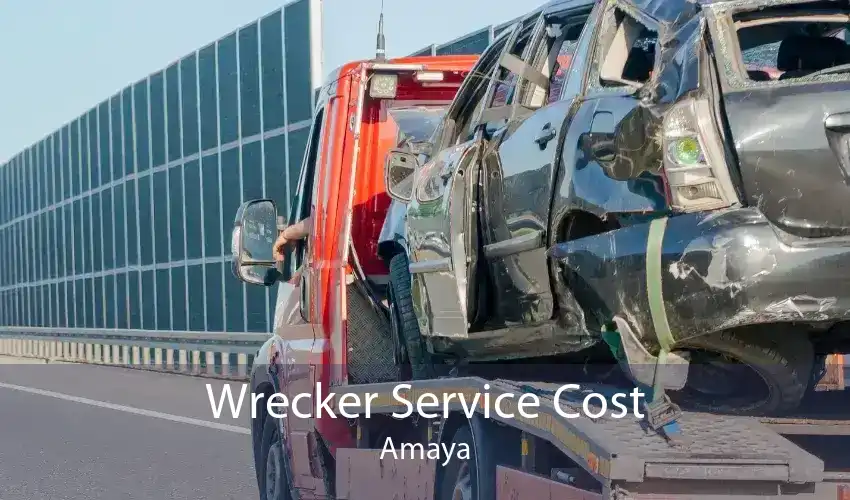 Wrecker Service Cost Amaya