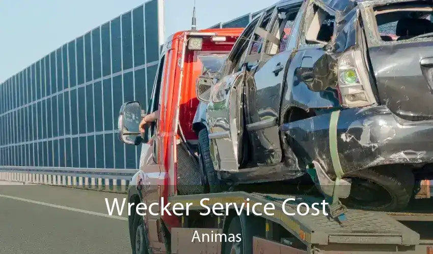 Wrecker Service Cost Animas