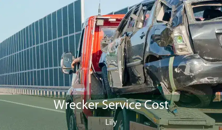 Wrecker Service Cost Lily