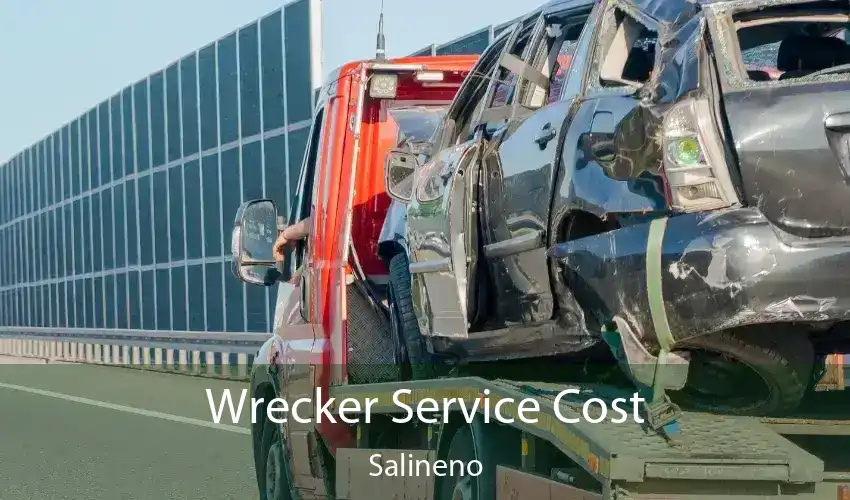 Wrecker Service Cost Salineno